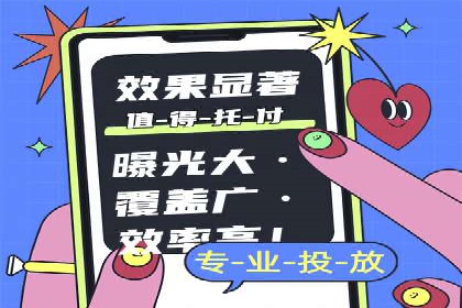 某电商平台的SEM投放全流程案例